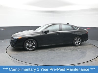 2025 Honda Accord Hybrid EX-L