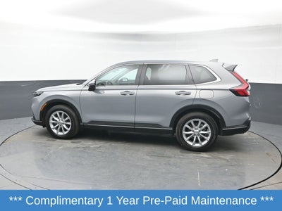 2025 Honda CR-V EX-L