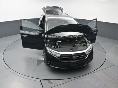 2024 Honda Odyssey Elite