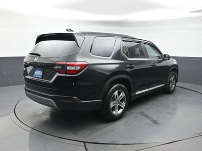 2024 Honda Pilot EX-L 8 Passenger