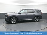 2023 Honda Pilot EX-L 8 Passenger