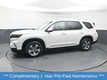 2024 Honda Pilot EX-L 7 Passenger