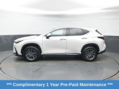 2025 Lexus NX 350 Premium