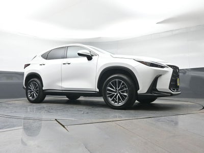 2025 Lexus NX 350 Premium