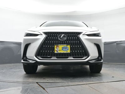 2025 Lexus NX 350 Premium