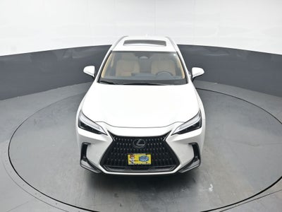 2025 Lexus NX 350 Premium