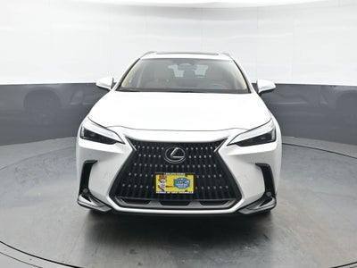 2025 Lexus NX 350 Premium