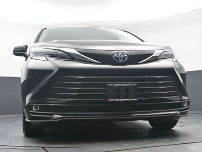 2025 Toyota Sienna XLE 7 Passenger