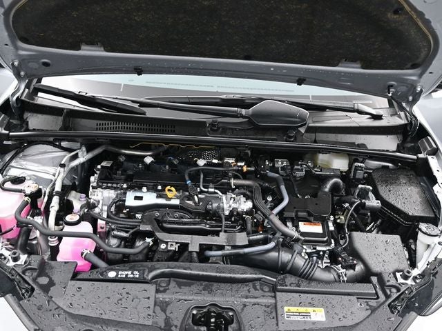 2025 Toyota Prius XLE